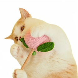 Jouet Teaser Mordu Pour Chat