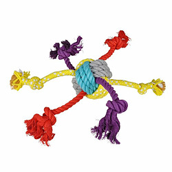 Paris Prix Corde pour Chien - Multicolore