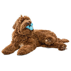 West Paw Tux Jouet pour chien - Aqua bleu S pas cher