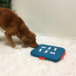 Avis Outward Hound Dog Casino