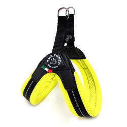 Equipement de transport pour chien Générique