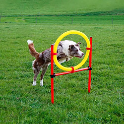 Accessoires éducatif pour chien Kerbl