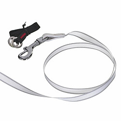 Flexi - Laisse pour chien - Blanc 5 m