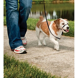 PetSafe Licol Easy Walk - Noir