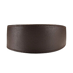 Accessoires éducatif pour chien Hunter