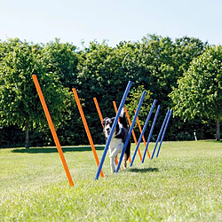 Trixie Piquets de Slalom