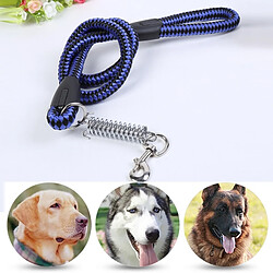 Wewoo Animal de compagnie Chiens PP Cruciferae - Bleu