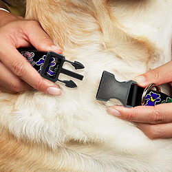 Collier pour chien