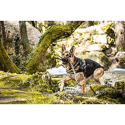Acheter Julius-K9 IDC-Power Harnais - Taille 0