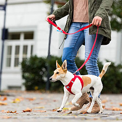 Avis Curli Laisse basique pour chien