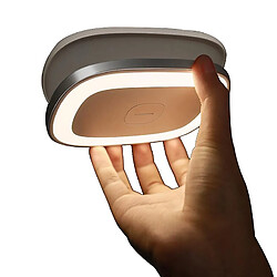 Plafonnier LED pour voiture - Noir