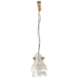 Acheter vidaXL Lampe Suspendue Industrielle
