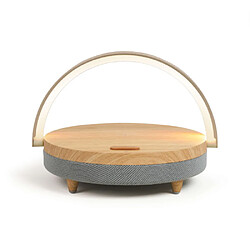 Acheter Magneticland Lampe Enceinte Chargeur ARSOUND