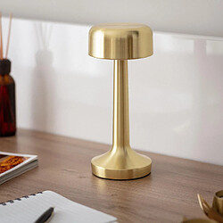 Ledkia Ciara - Doré