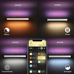 Acheter Philips Hue Suspension LED RGBW White Color Ensis 2x39W Hue Blanc