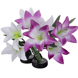 Wewoo LED solaire Forme De Fleur Lys