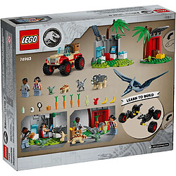 Lego Jurassic World bébés dinosaures