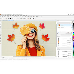 Avis CorelDRAW Essentials 2021