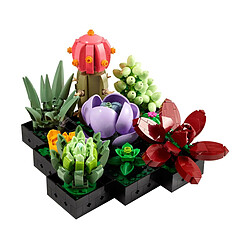 LEGO 10309 Icons: Succulents