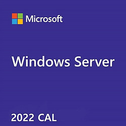 Microsoft OEM Win CAL 2022 User