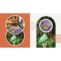 Adobe Systems ADOBE Photoshop Elements 2023 pas cher