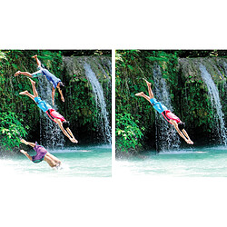 Acheter Adobe Systems ADOBE Photoshop Elements 2023