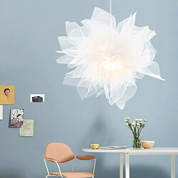 Suspension & lustre