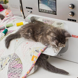 Avis Bernina 770 QE
