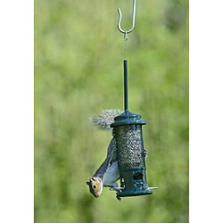 The Squirrel Buster Mangeoire anti-écureuil