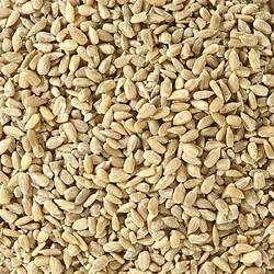 Dehner Sac de Graines de Tournesol 10kg