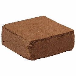 VIDAXL Blocs de noix de coco 2 pcs - 10 kg