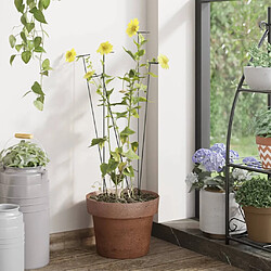 vidaXL Piquets pour Plantes 91 cm Lot de 20