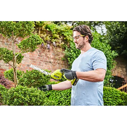 Acheter RYOBI OGS1822 - Vert & Anthracite