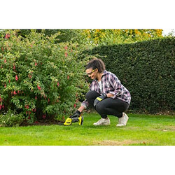 RYOBI OGS1822 - Vert & Anthracite pas cher