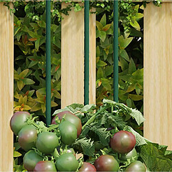 vidaXL Piquets pour plantes 30 pcs 150 cm