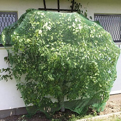 Windhager Filet contre les oiseaux 10x2 m