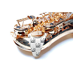 BG A65S Sèche Tampons Saxophone