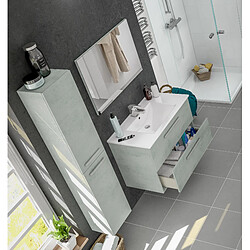 Avis Alter Meuble sous-vasque suspendu - Gris