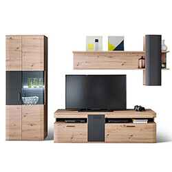 Pegane Ensemble de séjour TV - Graphite