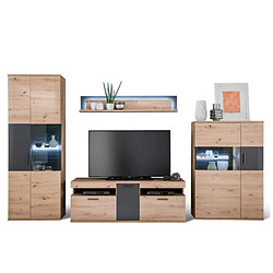 Pegane Ensemble séjour TV 4 éléments - Graphite