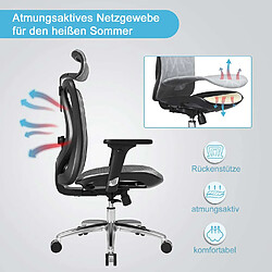 Acheter Mendler SIHOO chaise de bureau