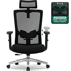 Homimaster Lexzurn Fauteuil de Bureau Ergonomique