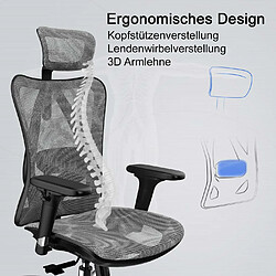 Avis Mendler SIHOO chaise de bureau