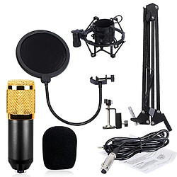 Microphone