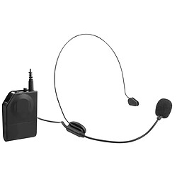 Microphone Trevi