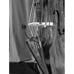 Avis Prodipe BL21 Lanen