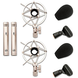 Warm audio WA-84-OC-N-ST - Argent