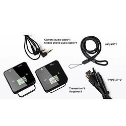 Feidu FM40 Wireless Mic