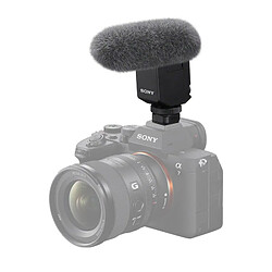 Avis Sony ECMB 10 - Noir