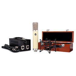 Warm audio WA-251
